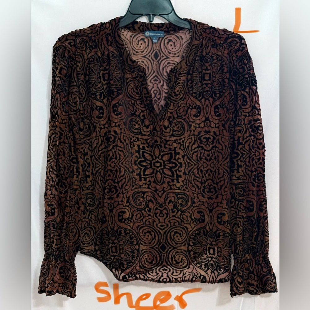 Democracy Blouse in Elegant Black with Sheer Design